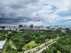 Normanton Park (D5), Apartment #460126891